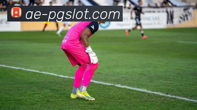 PG电子官网APP 封面图